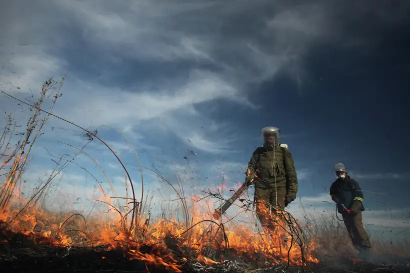 Авиалесоохрана наращивает группировку пожарных в Туве. Фото. © РИА Новости. Игорь Подгорный