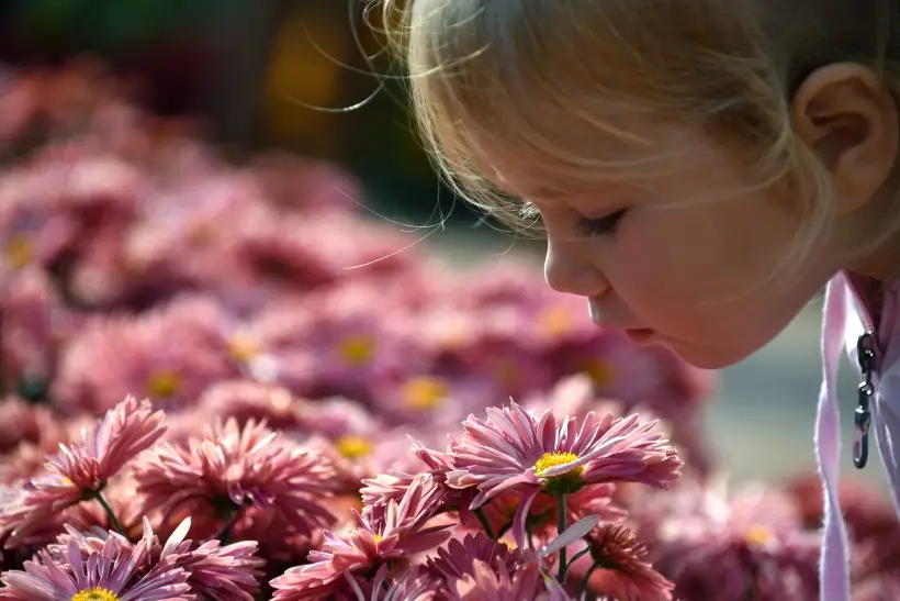 Невербальная память помогает запоминать в том числе запахи. Фото