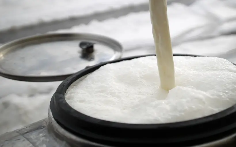 Сливки: виды, польза и вред для детей и взрослых. Фото. © РИА Новости. Виталий Тимкив