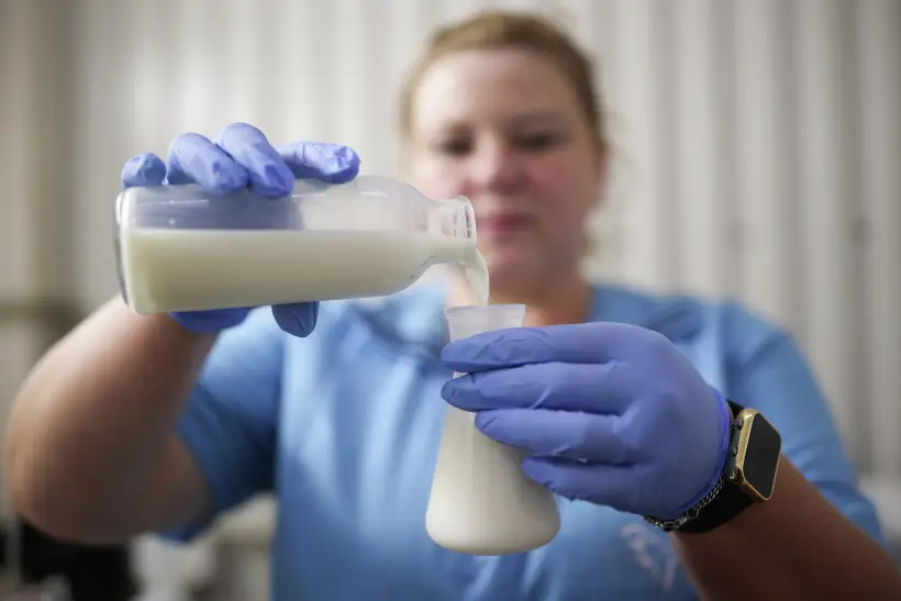 Вкус сливок зависит от вида и процента жирности. Фото