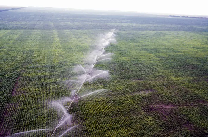 Тверским аграриям компенсируют 50% затрат на проведение мелиорационных мероприятий. Фото. © РИА Новости. Игорь Костин