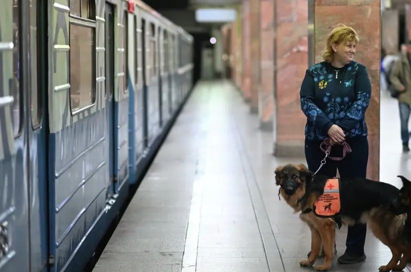 В ночь с 13 на 14 сентября станции метро и МЦК будут открыты на вход до двух ночи. Фото. © РИА Новости. Алексей Майшев