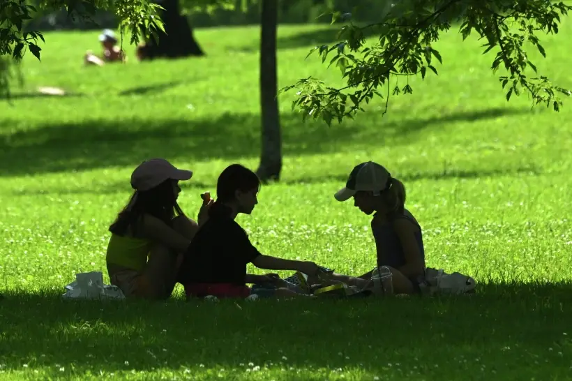 Лето – прекрасное время для пикников. Фото