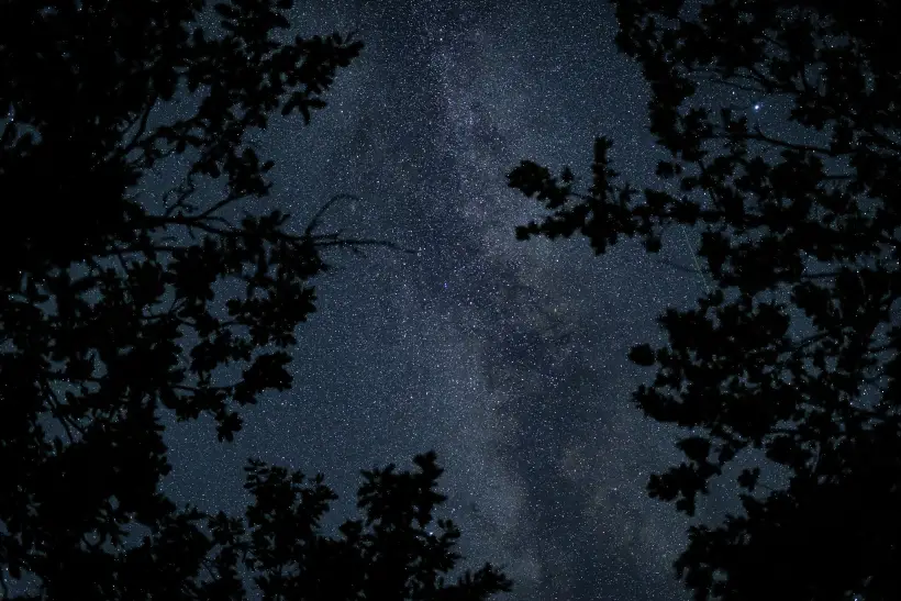 Лучше всего наблюдать за звездами за пределами города, чтобы световое загрязнение не мешало разглядеть красоту небесных тел. Фото