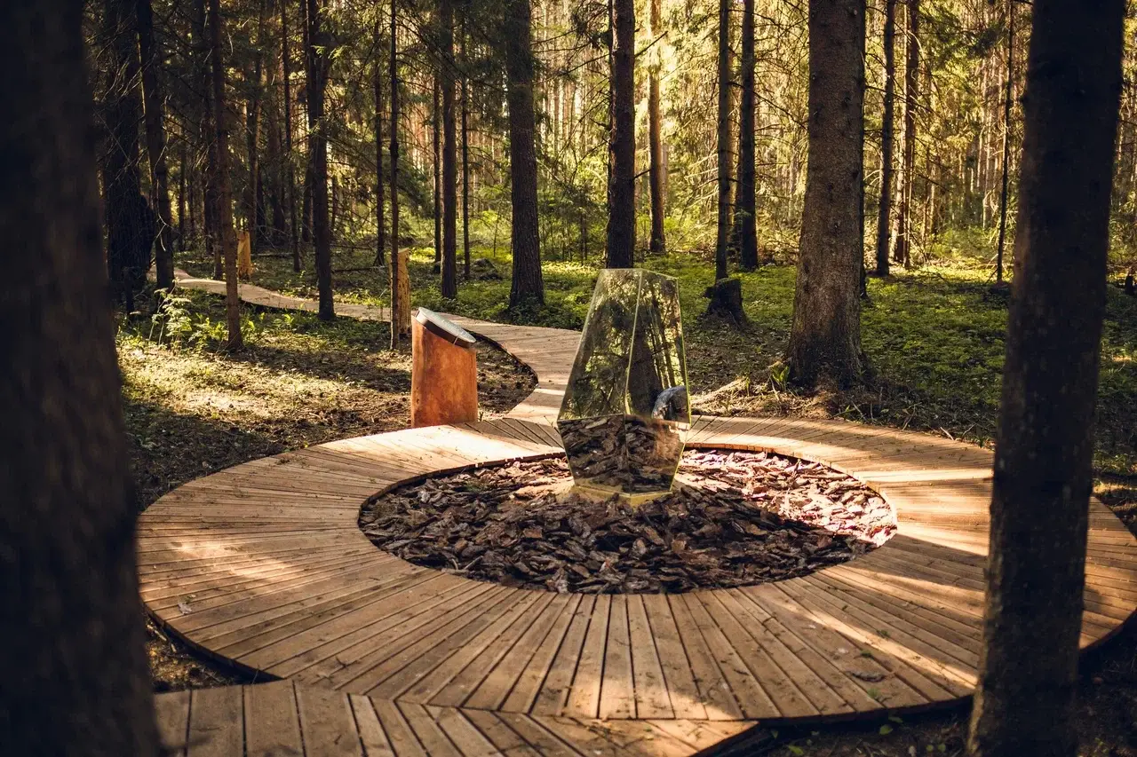 В Тверской области для туристов открылась энерго-тропа на берегу Волги. Фото. © Пресс-служба глэмпинга 