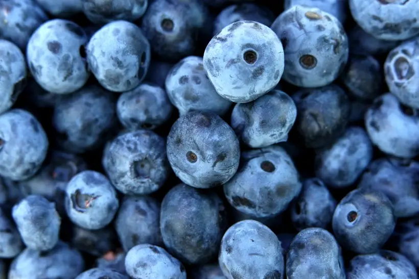 Самые полезные ягоды: топ 10 для здоровья женщин, мужчин, детей