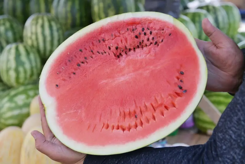 Самые полезные ягоды: топ 10 для здоровья женщин, мужчин, детей