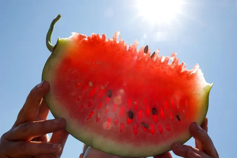 Астраханская и Волгоградская области разрабатывают турмаршрут 