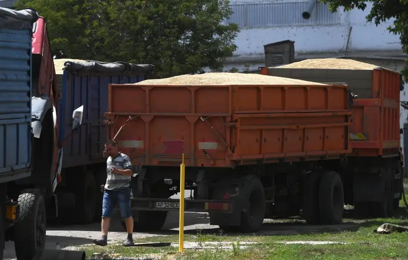 Парковку для большегрузов с зерном организуют в Ростове-на-Дону. Фото. © РИА Новости