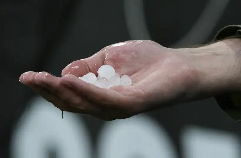 Режим ЧС в сельском хозяйстве введен в двух районах Воронежской области из-за непогоды. Фото. © РИА Новости. Алексей Даничев