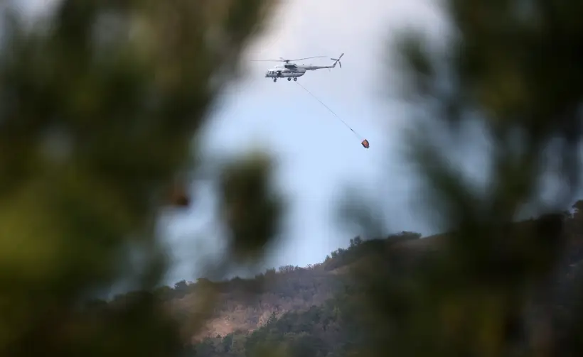 Площадь низового пожара в лесничестве под Геленджиком увеличилась с 9 до 12 га. Фото. © РИА Новости. Виталий Тимкив