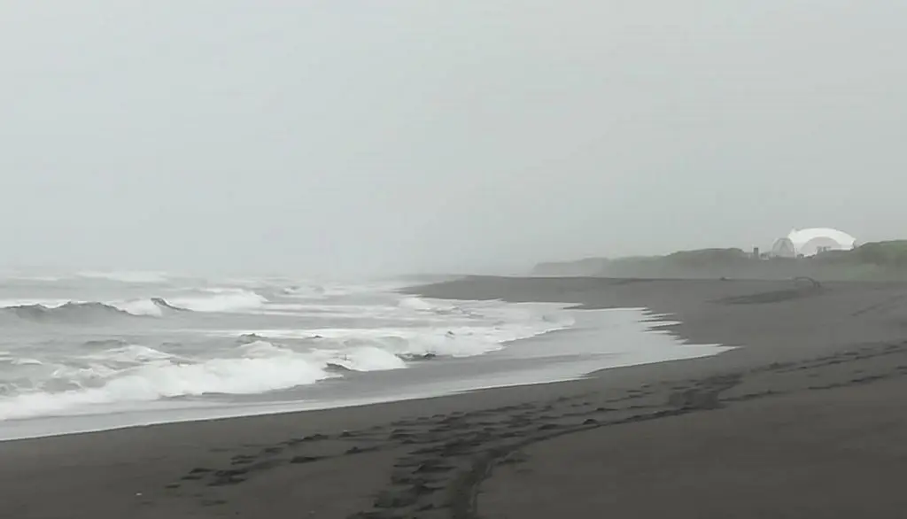 С Халактырского пляжа на Камчатке эвакуировали отдыхающих из-за угрозы цунами. Фото. © 