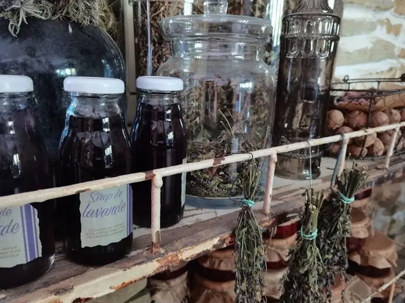 Лаванда широко используется в народной медицине. Фото