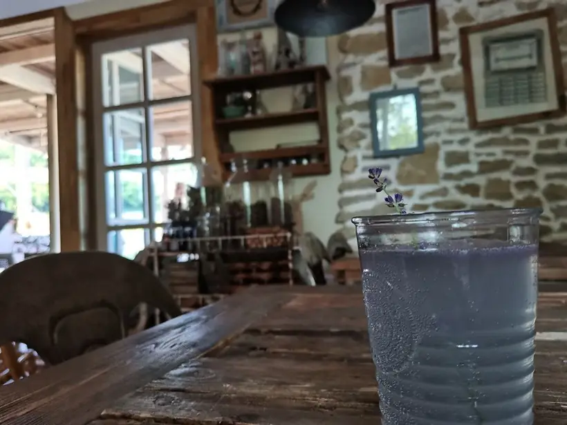 Лимонад из лаванды отлично утоляет жажду. Фото