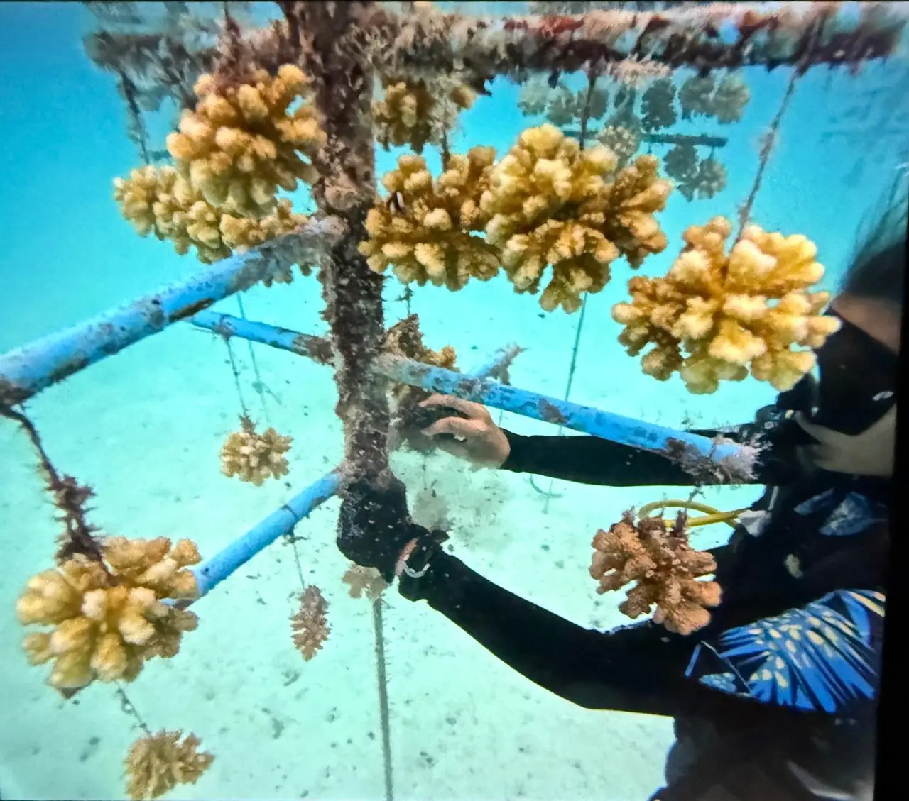 Российский турпоток на Мальдивы вырос более чем на 20% в первом полугодии