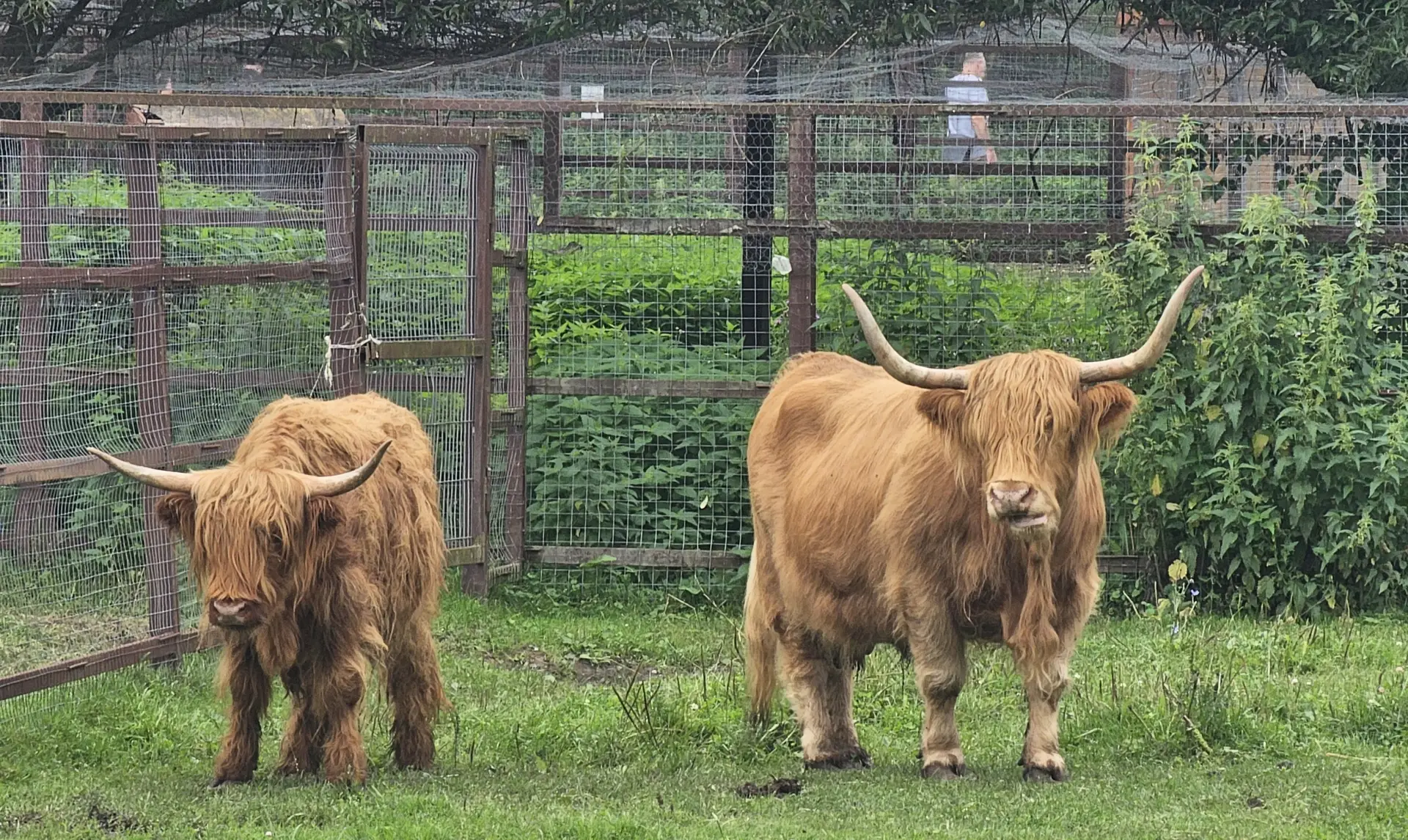 Путин поручит правительству проработать вопрос о посещении зоопарков по 