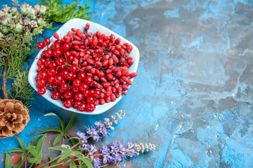 В соусах барбарис и смородина взаимозаменяемые. Фото