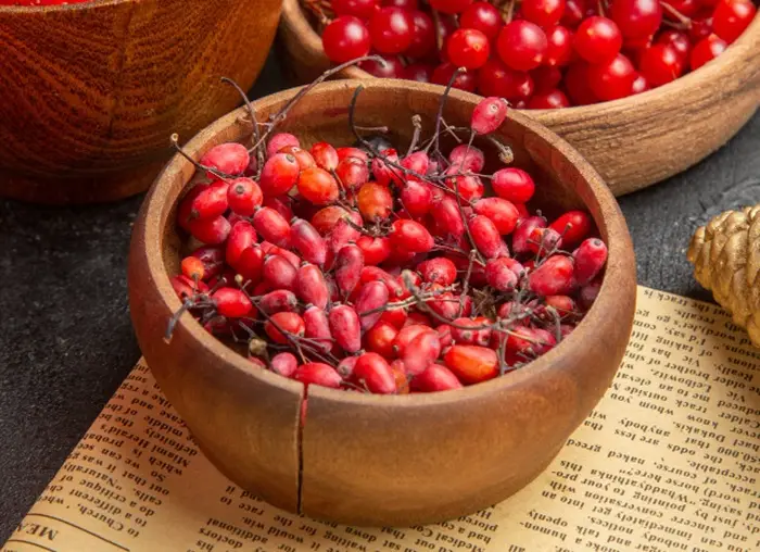 Употреблять в пищу можно только спелые ягоды барбариса, незрелые – токсичны. Фото