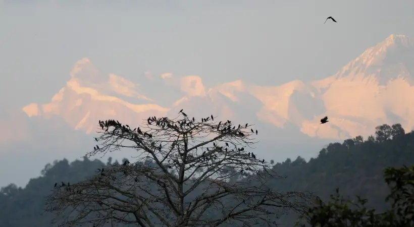 Непал отменит плату за восхождение почти на 100 гор на два года. Фото. © РИА Новости. Владимир Астапкович