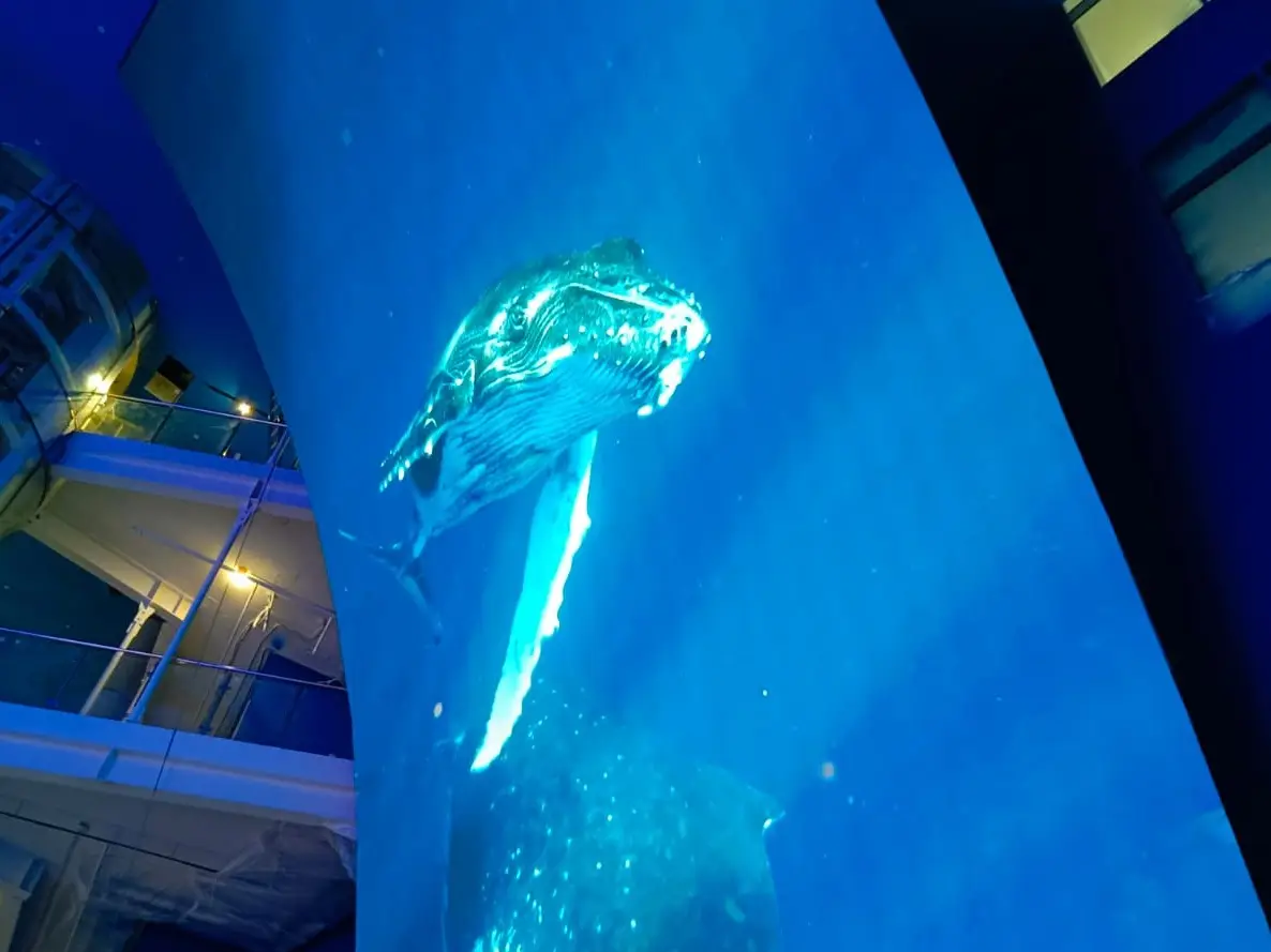 © "Интерфакс". Людмила Стрельцова