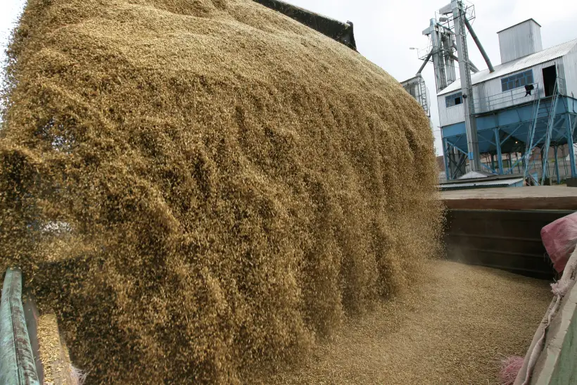 Башкирия запустит госпрограмму по закупке зерносушильных комплексов. Фото. © РИА Новости. Максим Богодвид