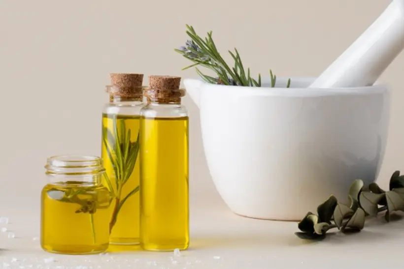 Розмарин: польза и вред, применение в народной медицине и кулинарии