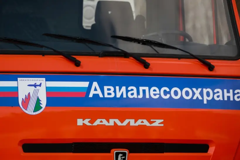 Центр для борьбы с пожарами в лесах четырех регионов хотят создать в Приангарье. Фото. © РИА Новости. Кирилл Шипицин