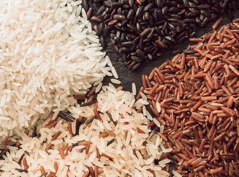 Рис: виды, польза, как варить