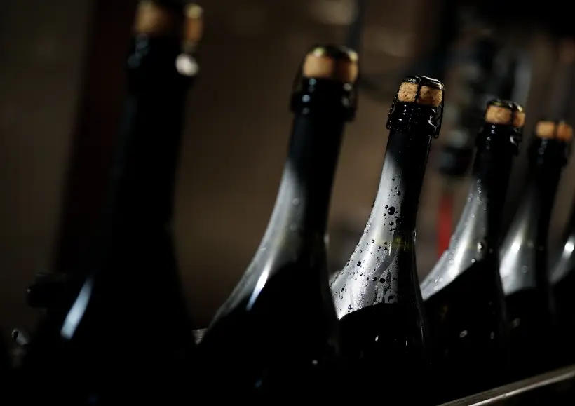 Володин: вина российского производства занимают более половины рынка РФ. Фото. © РИА Новости. Виталий Тимкив