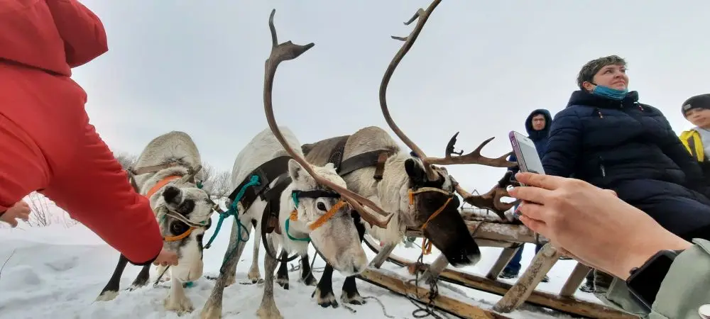 Саами Мурманской области компенсируют расходы на оздоровление в санатории. Фото. © 