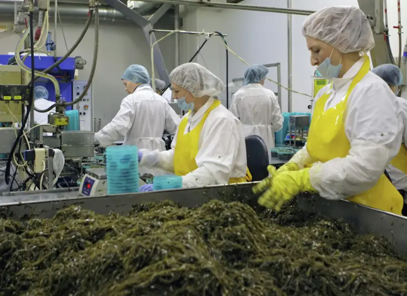 Карелия получит 350 млн руб. на создание четвертого технопарка. Фото. © РИА Новости. Алексей Даничев