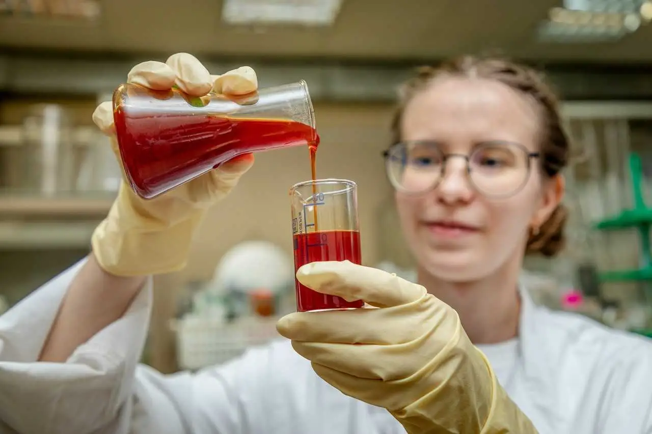 Нижегородские ученые разработали нанокомплекс для профилактики дефицита селена. Фото. © пресс-служба ННГУ им. Н.И. Лобачевского,  Андрей Скворцов.