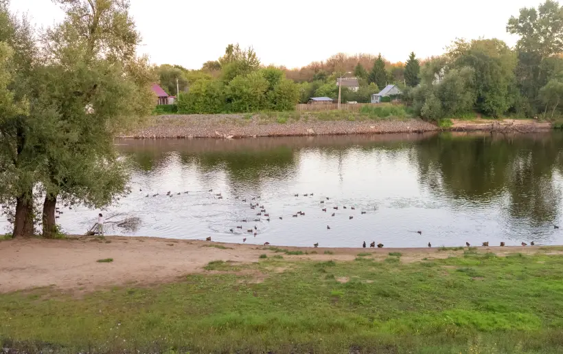 Три региона получат дополнительно 135 млн руб. на улучшение состояния водоемов. Фото. © РИА Новости. Маргарита Матвеенкова