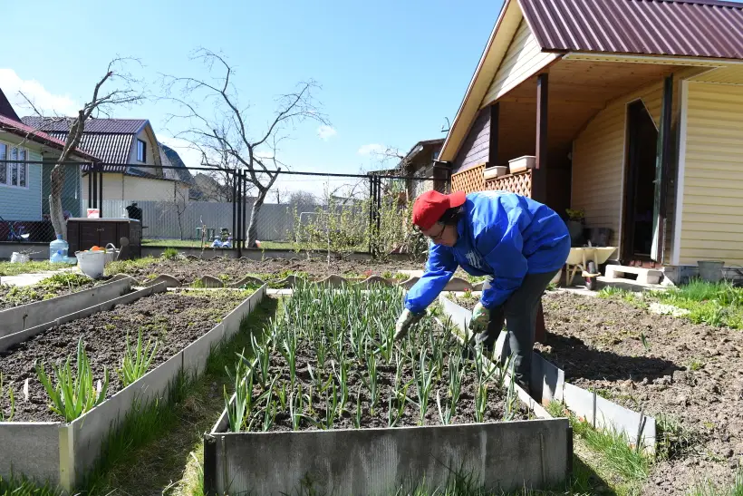 Майские праздники практически ежегодно предлагают удлинить за счет новогодних каникул, фото