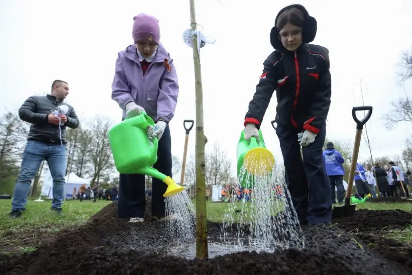 Почти 6 тыс. деревьев посадят в Петербурге за месячник благоустройства. Фото. © РИА Новости. Артем Пряхин