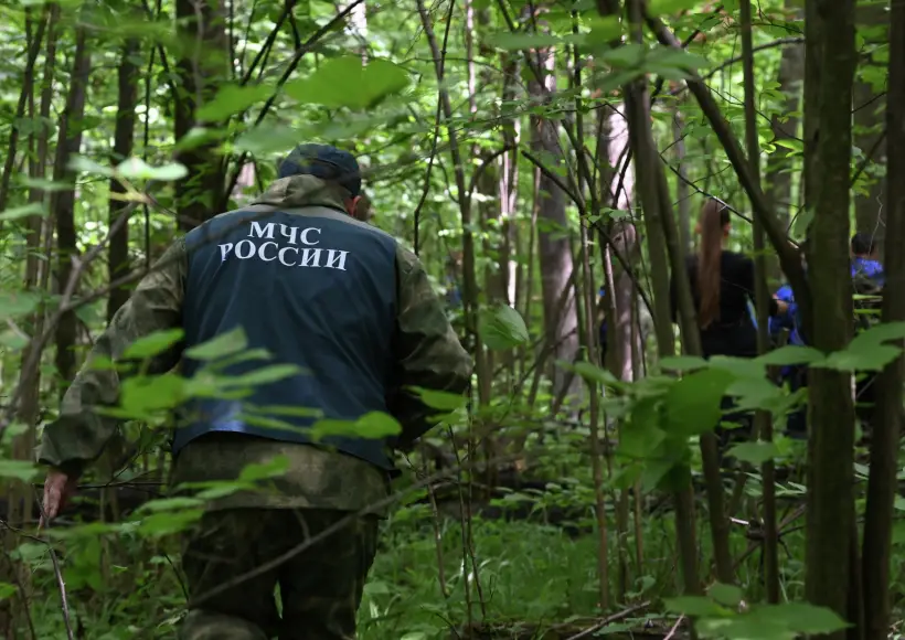 Около двухсот человек задействованы в поисках пропавших туристов в Красноярском крае. Фото. © РИА Новости. Максим Богодвид