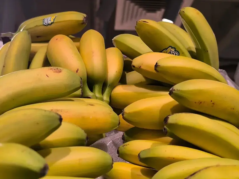 Зимой в РФ в основном привозные фрукты из других стран. Фото