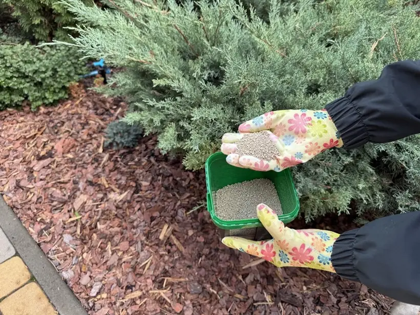 В каждом регионе начало осенних работ варьируется по месяцам. Фото