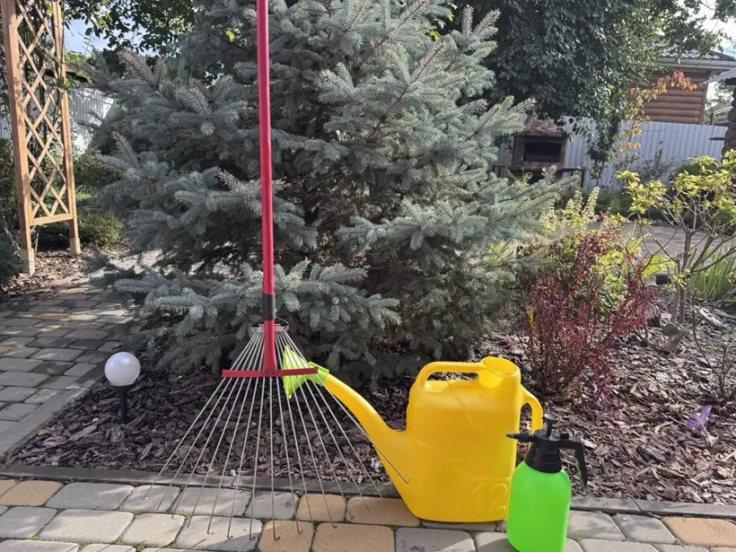 Обработку от вредителей нужно проводить ежегодно. Фото