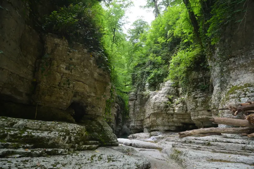 Более 2 млн человек посетили Сочинский нацпарк минувшим летом. Фото. Природный комплекс 