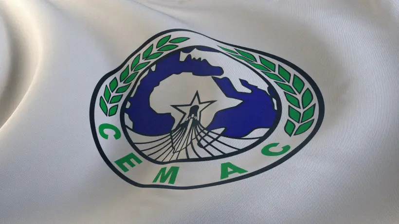 Лавровый лист изображен на флаге экономического и валютного сообщества Центральной Африки. Фото