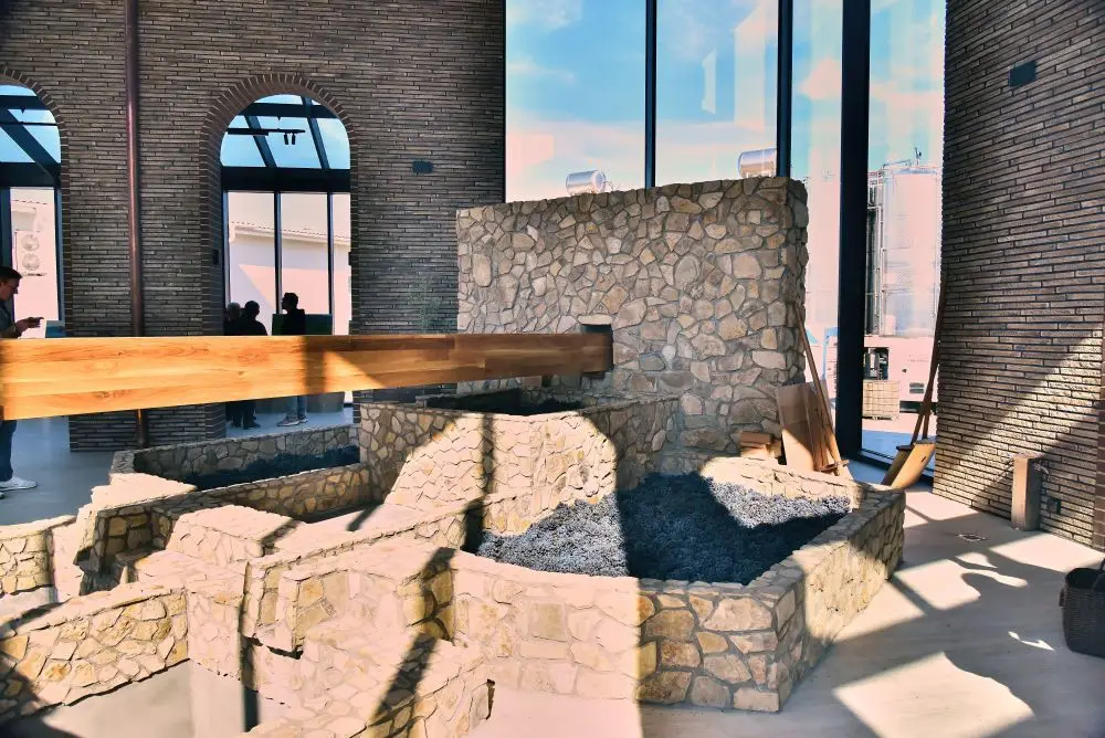 Виноград. © Пресс-служба АПФ "Фанагория". Коцарева Лолита