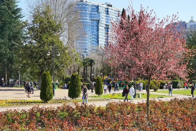 Маршрут для познавательного туризма разработали в Сочи. Фото. © Пресс-служба администрации Сочи. Денис Тарута