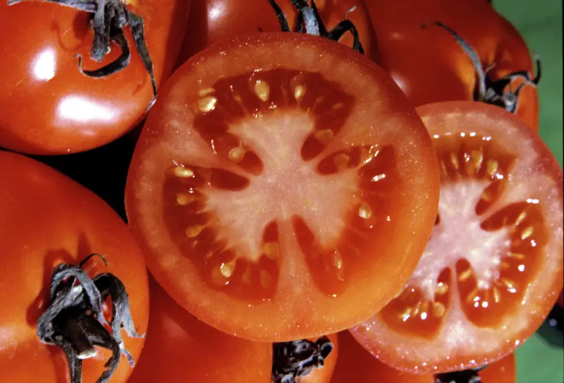 Выбирайте для лечо мясистые перцы с толстыми стенками - они дадут меньше сока и больше мякоти. Фото