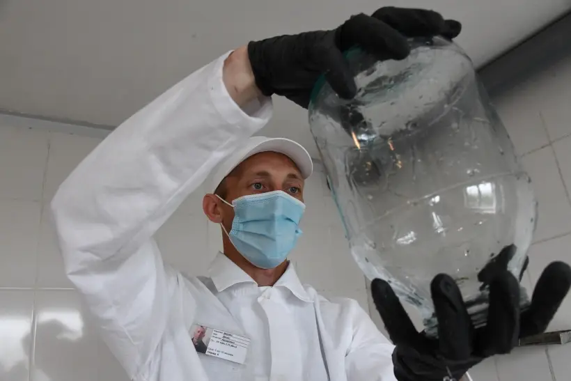 Перед тем, как приступить к приготовлению лечо, заранее подготовьте стерильные банки и крышки. Фото