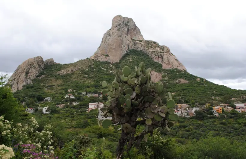 Родиной начос является Мексика. Фото