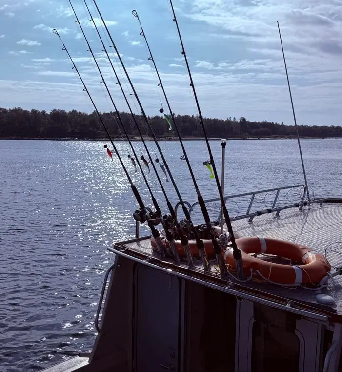 Три дня на Соловках: что увидеть, узнать и попробовать