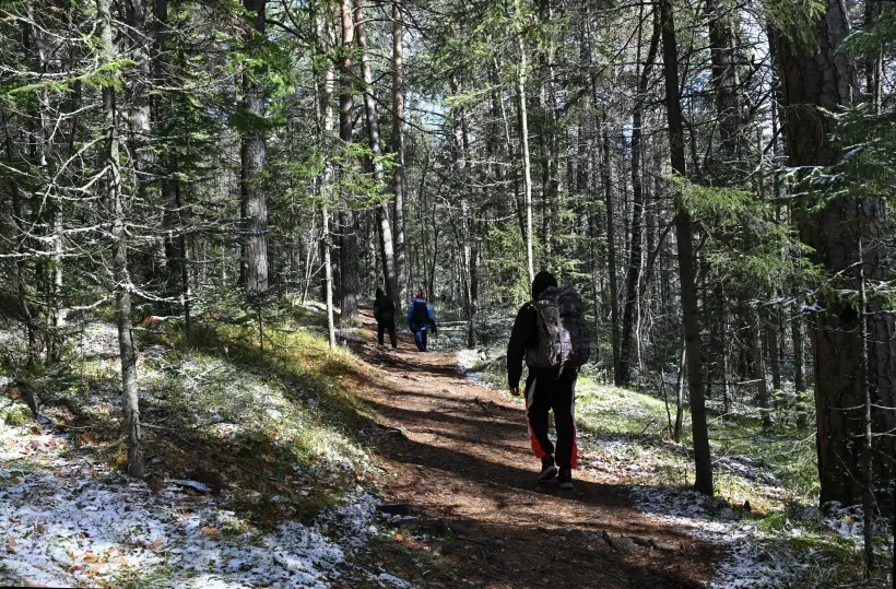 Массовую вакцинацию хищников от бешенства проведут в заповедниках Новгородской области. Фото. © РИА Новости. Илья Наймушин