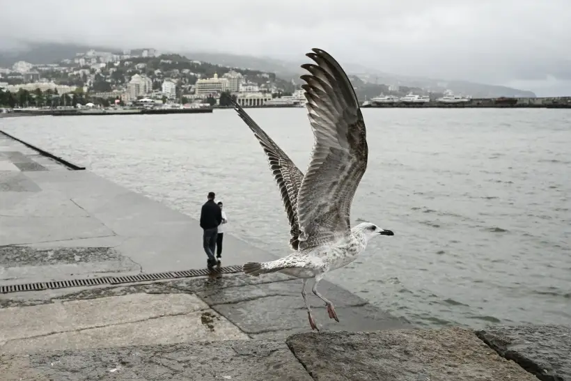 Отдых на ноябрьские праздники 2025: варианты поездок по России