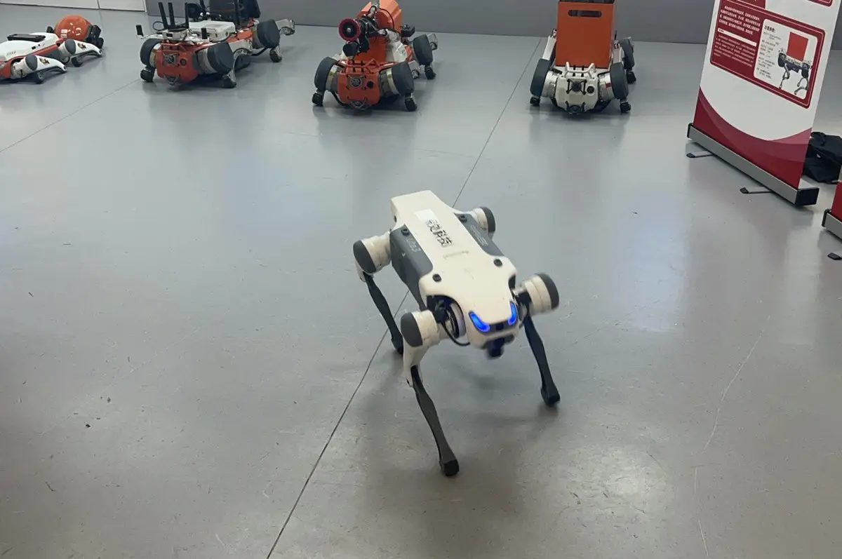 Роботы-исследователи и спасатели. © "Интерфакс. Татьяна Барковская